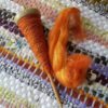 Beginners’ Drop Spindle Spinning
