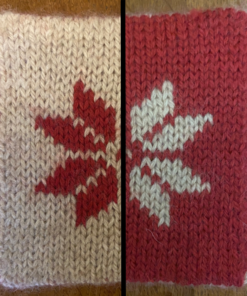 Introduction to Double Knitting