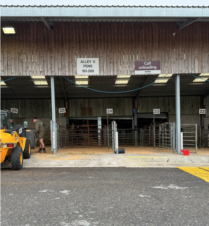 The loading pens at the Wharfedale Entrance